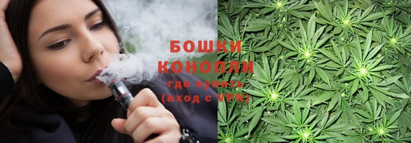 СК Аркадак