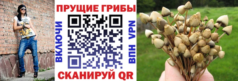 Псилоцибиновые грибы Magic Shrooms Рыбинск